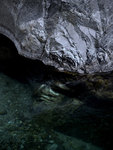 agua rasa